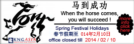 Chinese Newyear,Horse,2014,China